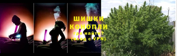PSILOCYBIN Вязники