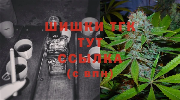 PSILOCYBIN Вязники