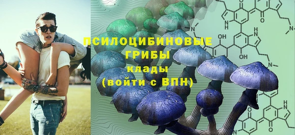 a pvp Вязьма
