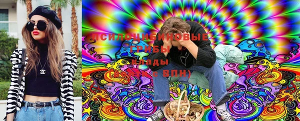 a pvp Вязьма