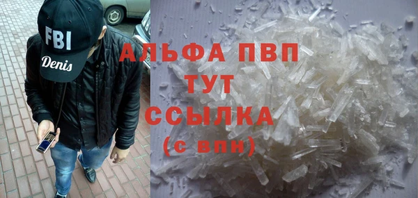 PSILOCYBIN Вязники