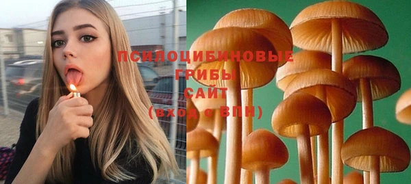 PSILOCYBIN Вязники